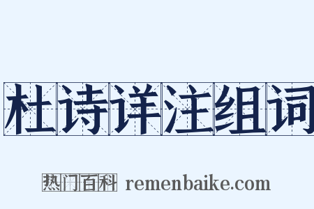 杜诗详注组词是什么意思的图片